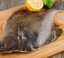 Deep-sea Disc Fish