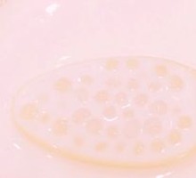 Coconut Sago Dessert