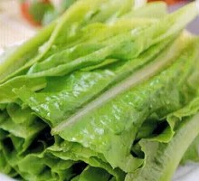 Oilseed lettuce
