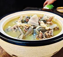 Appetizing Softshell Turtle Soup
