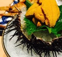Sea Urchin