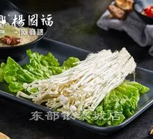 Enoki Mushroom