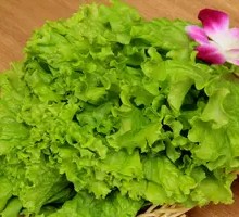 Lettuce