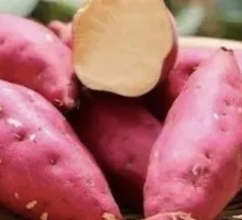 Sweet Potato