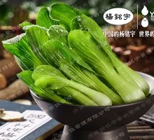 Green Vegetables