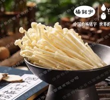 Enoki Mushroom
