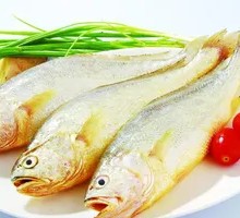 Yellow Croaker