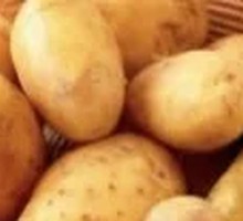 Potato
