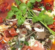 Premium Maoxuewang