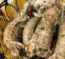 Mantis Shrimp