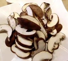 Fungi Fungi