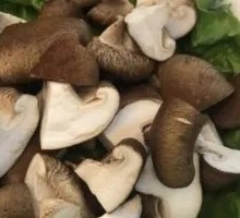 Shiitake Mushroom