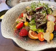 Healthy Organic Vegetable Salad