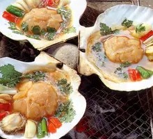 Scallop