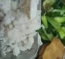 Pork Cutlet Rice