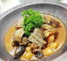 Soft-shelled Turtle Stewed with Ox Tail