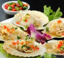 Scallop