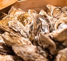 Rushan Large Oyster
