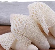 Bamboo Mushroom