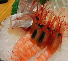 Sashimi Sushi