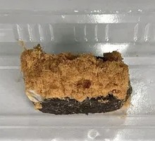 Sesame Seed Roll with Meat Floss