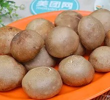 Shiitake Mushroom