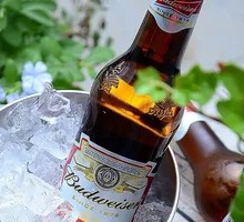 Budweiser Bottle