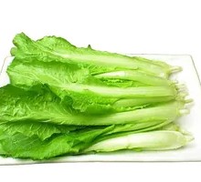 Water Cabbage