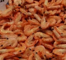 Red Shrimp