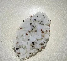 Quinoa Rice