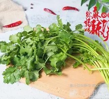 Cilantro