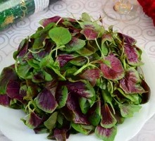Red Amaranth