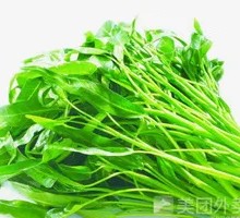 Water spinach