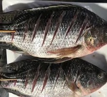 Fushou Fish