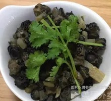 Snail Meat