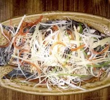 Steamed Spotted Sea Bass