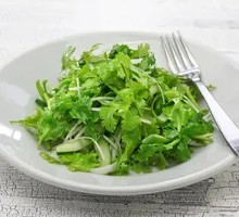 Cilantro