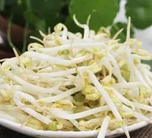 Mung Bean Sprouts