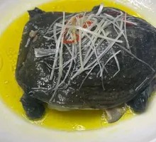 Steamed Turtle