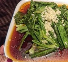 Oilseed lettuce