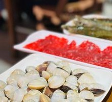 South China Sea Clam