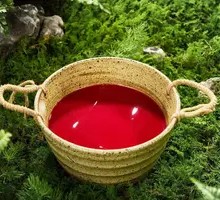 Fresh Duck Blood
