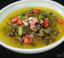 Clear Soup Snail