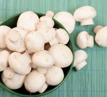Mushroom