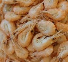 Large White Shrimp