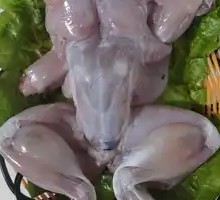 Frog Legs