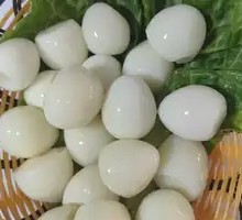 Quail Egg