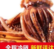 Signature Squid