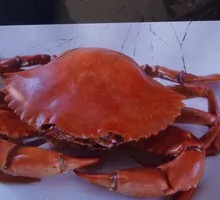 Mystery Crab with Blue Crab