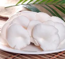 White Mushroom